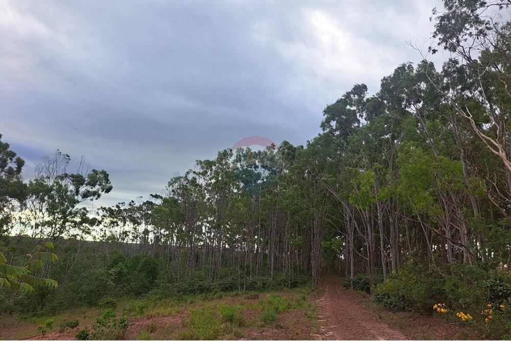 Fazenda - Venda - Cajuru , São Paulo - IMG-20250406-WA0039.jpg - 780171030-57