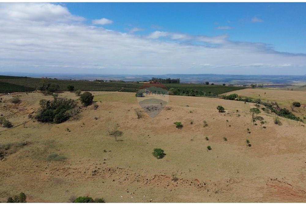 Chácara / Sítio / Fazenda - Venda - Cajuru , São Paulo - DJI_0294.JPG - 780171030-77