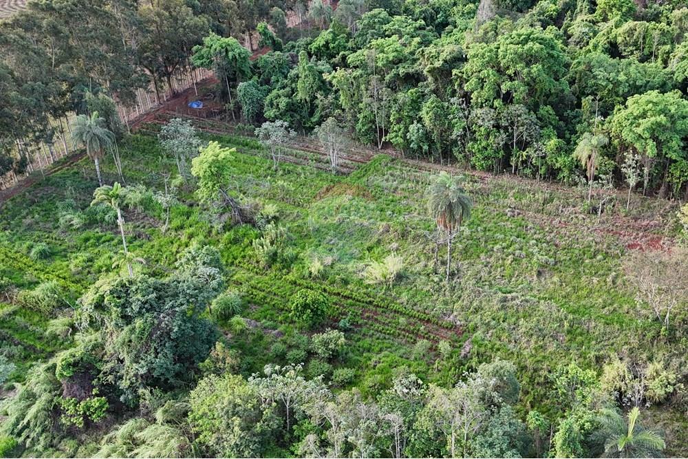 Fazenda - Venda - Cajuru , São Paulo - dji_fly_20241031_173356_0251_1730844744051_photo.jpg - 780271061-50