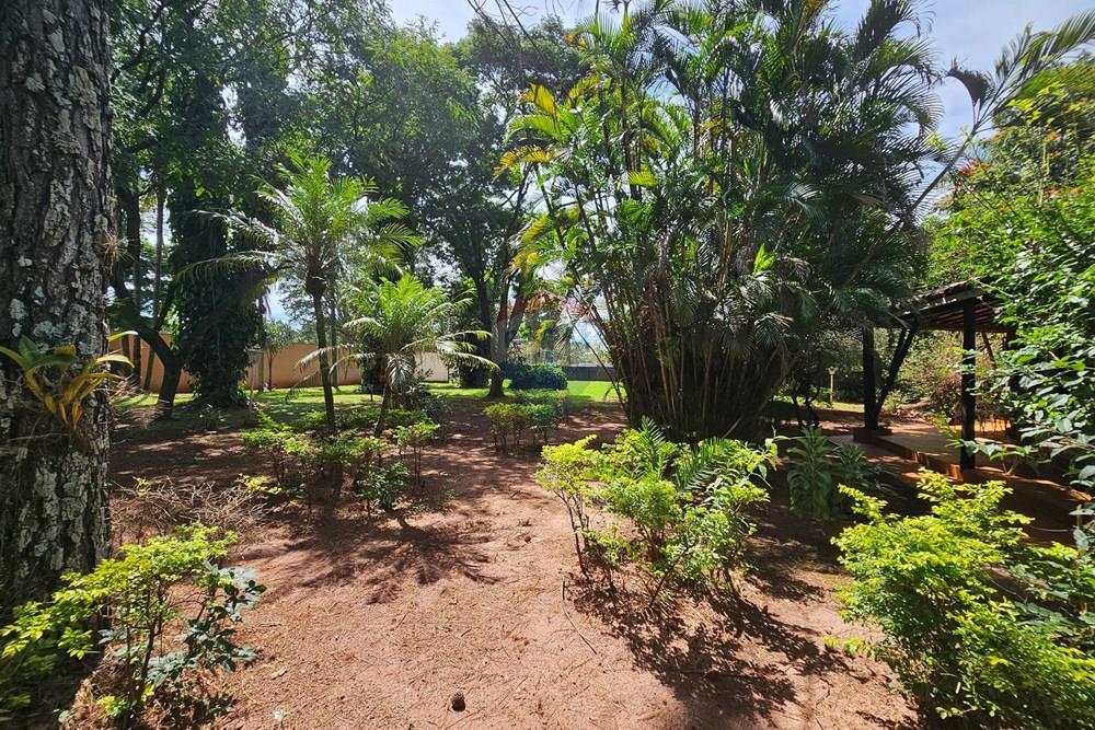 Chácara / Sítio / Fazenda - Venda - Ribeirão Preto , São Paulo - 20260322_105841 - Copia.jpg - 780091010-72