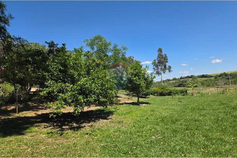 Chácara / Sítio / Fazenda - Venda - Santo Antônio da Alegria , São Paulo - IMG-20251121-WA0149.jpg - 780171030-68