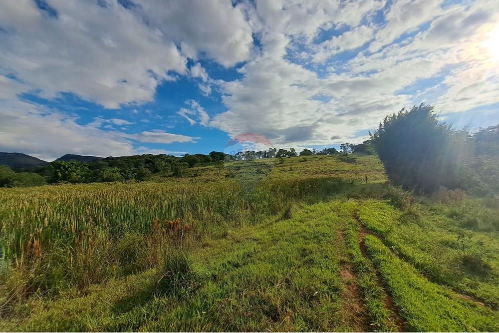Chácara / Sítio / Fazenda - Venda - Cajuru , São Paulo - IMG-20250406-WA0146.jpg - 780171030-59