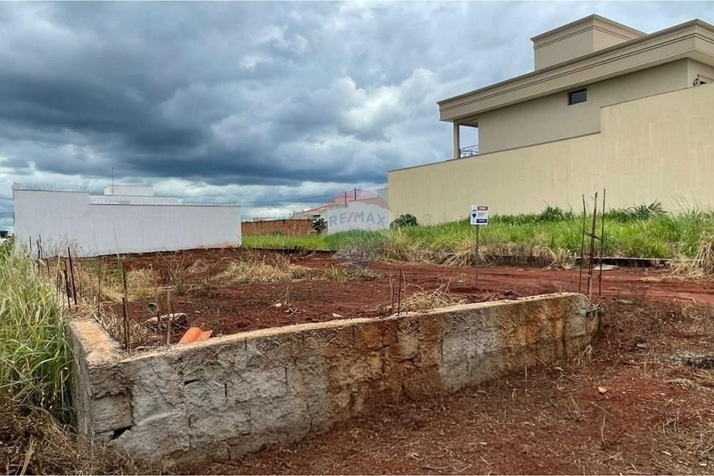 Terreno - Venda - São Joaquim da Barra , São Paulo - WhatsApp Image 2026-01-23 at 16.06.09.jpeg - 780301001-33