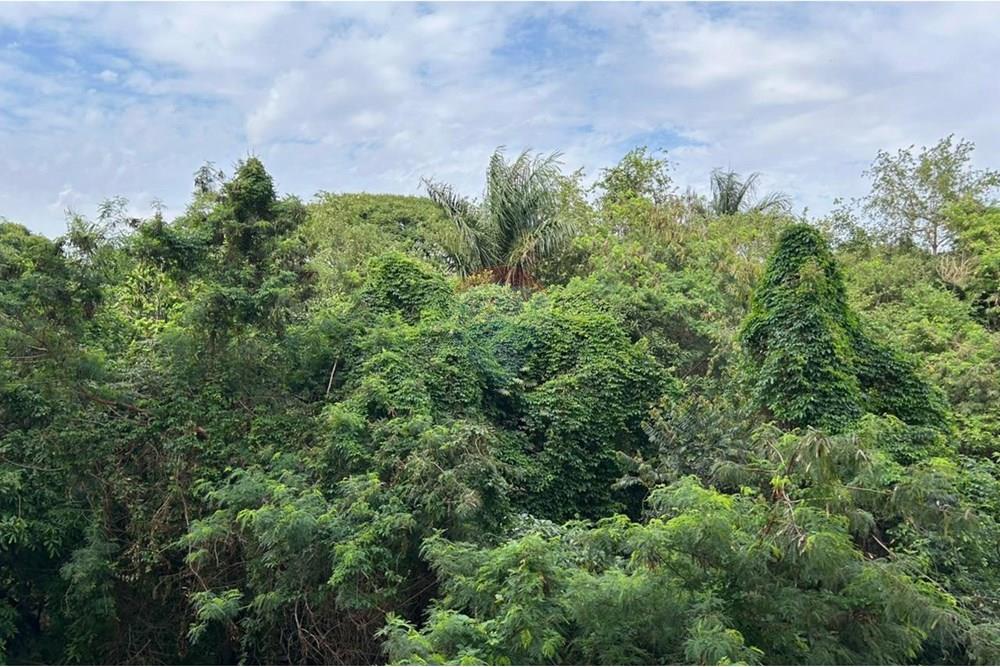 Apartamento - Venda - Ribeirão Preto , São Paulo - WhatsApp Image 2025-11-15 at 17.03.54.jpeg - Sacada - 780211055-6