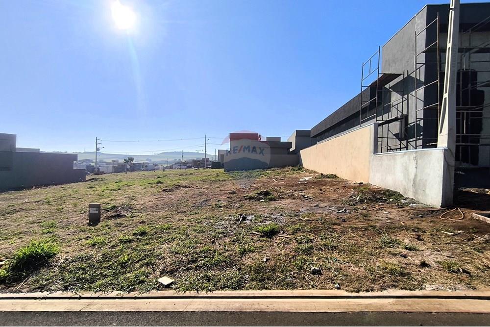 Terreno - Venda - Ribeirão Preto , São Paulo - IMG_20250806_085949.jpg - 780171009-225