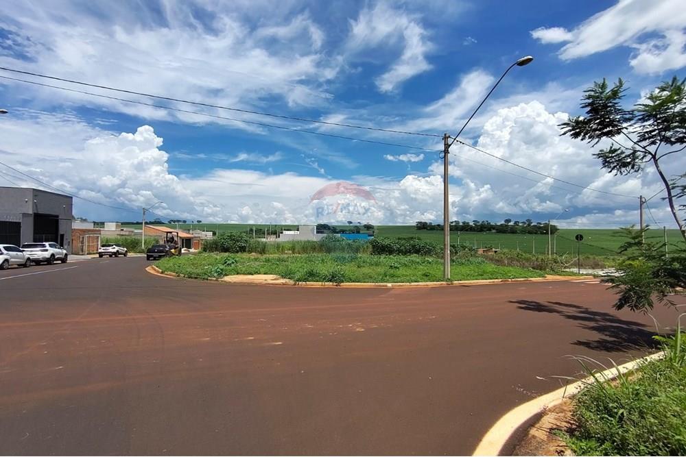 Terreno - Venda - Ribeirão Preto , São Paulo - WhatsApp Image 2025-02-14 at 12.11.36 (4).jpeg - 780201008-123