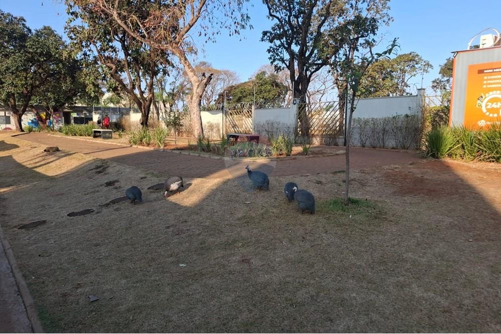 Apartamento - Venda - Ribeirão Preto , São Paulo - 38.jpeg - Jardim Interno - 780171045-52