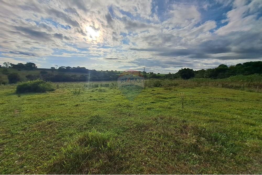 Fazenda - Venda - Cajuru , São Paulo - IMG-20250406-WA0138.jpg - 780171030-57