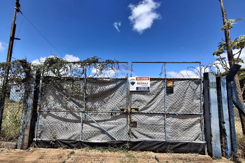 Galpão - Alugar - Orlândia , São Paulo - 20260124_105745.jpg - 780111046-10