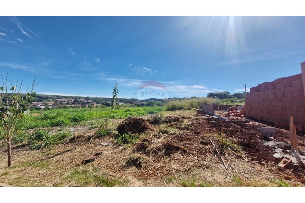 Terreno - Venda - Dumont , São Paulo - WhatsApp Image 2026-04-06 at 11.15.35 (3).jpeg - 780181011-299