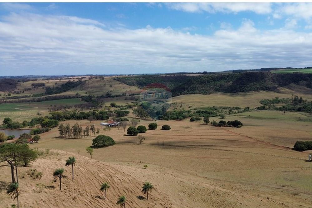 Fazenda - Venda - Cajuru , São Paulo - DJI_0305.JPG - 780171030-74