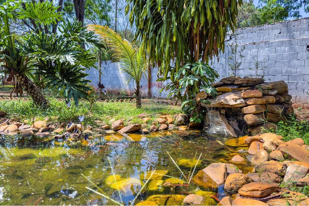 Chácara / Sítio / Fazenda - Venda - Ribeirão Preto , São Paulo - Chácara - G04-47.jpg - 780071024-84