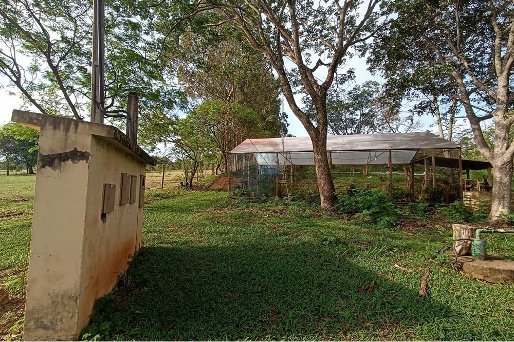 Fazenda - Venda - Cajuru , São Paulo - IMG_20241031_161748.jpg - 780271061-50