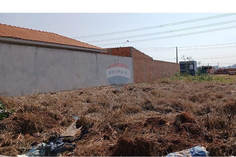 Terreno - Venda - Ribeirão Preto , São Paulo - 10.jpeg - 780171003-242