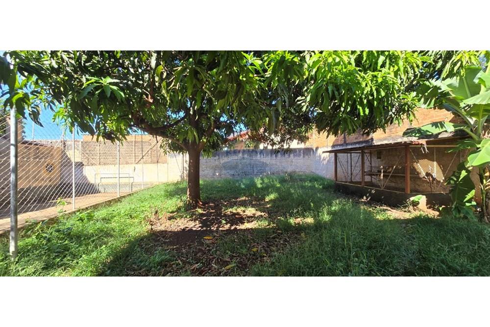 Chácara / Sítio / Fazenda - Venda - Ribeirão Preto , São Paulo - photo_37_2025-04-09_12-00-54.jpg - 780271014-23