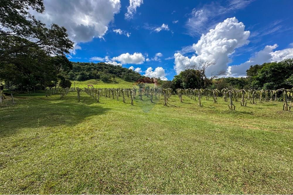 Chácara / Sítio / Fazenda - Venda - Cajuru , São Paulo - IMG_9451.jpg - 780241009-47