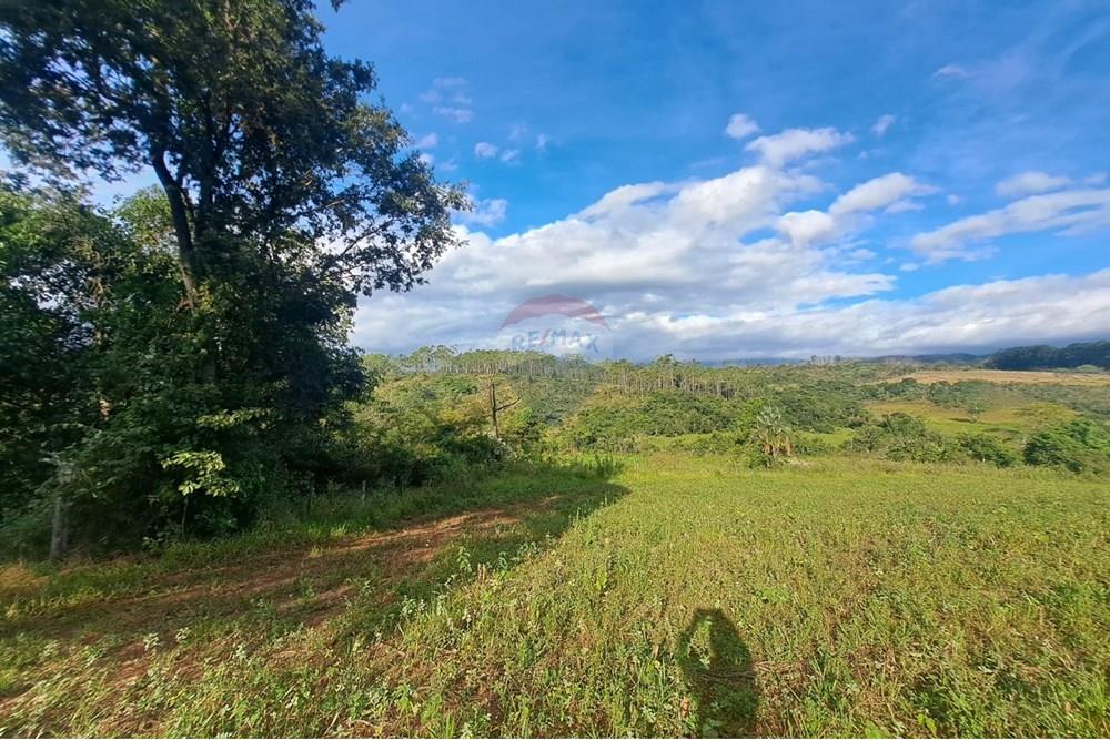 Fazenda - Venda - Cajuru , São Paulo - IMG-20250406-WA0188.jpg - 780171030-57