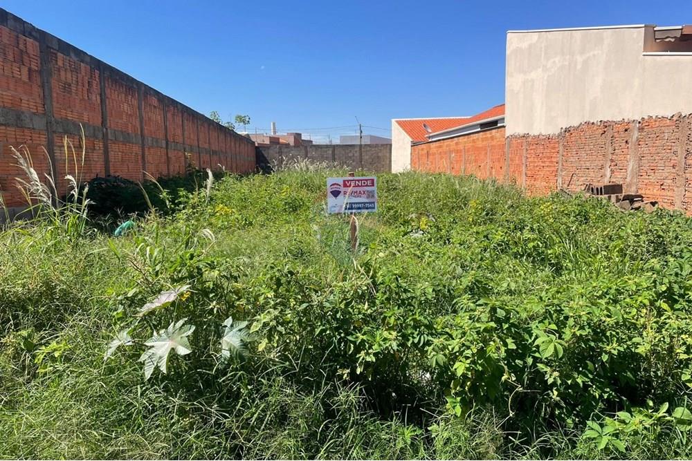Terreno - Venda - São Joaquim da Barra , São Paulo - WhatsApp Image 2025-11-29 at 10.18.38.jpeg - 780301001-21