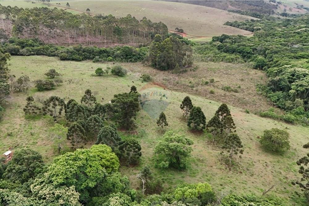 Chácara / Sítio / Fazenda - Venda - Aiuruoca , Minas Gerais - DJI_20241113155452_0324_D.JPG - 780251035-5