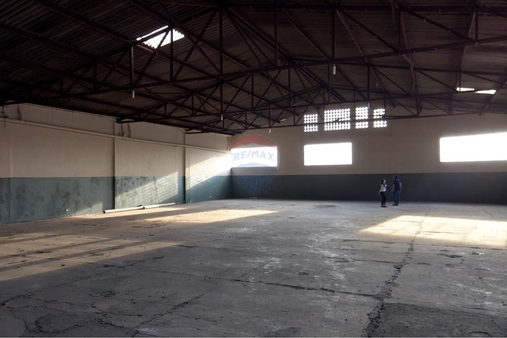 Galpão - Alugar - Ribeirão Preto , São Paulo - IMG-20250526-WA0006.jpg - 780241008-262