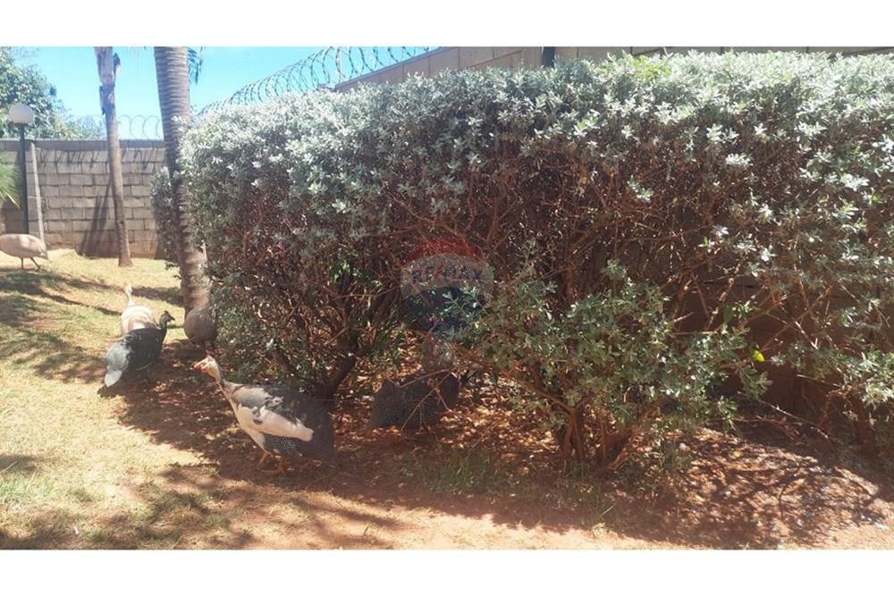 Apartamento - Venda - Ribeirão Preto , São Paulo - galinhas.jpeg - 780151016-78