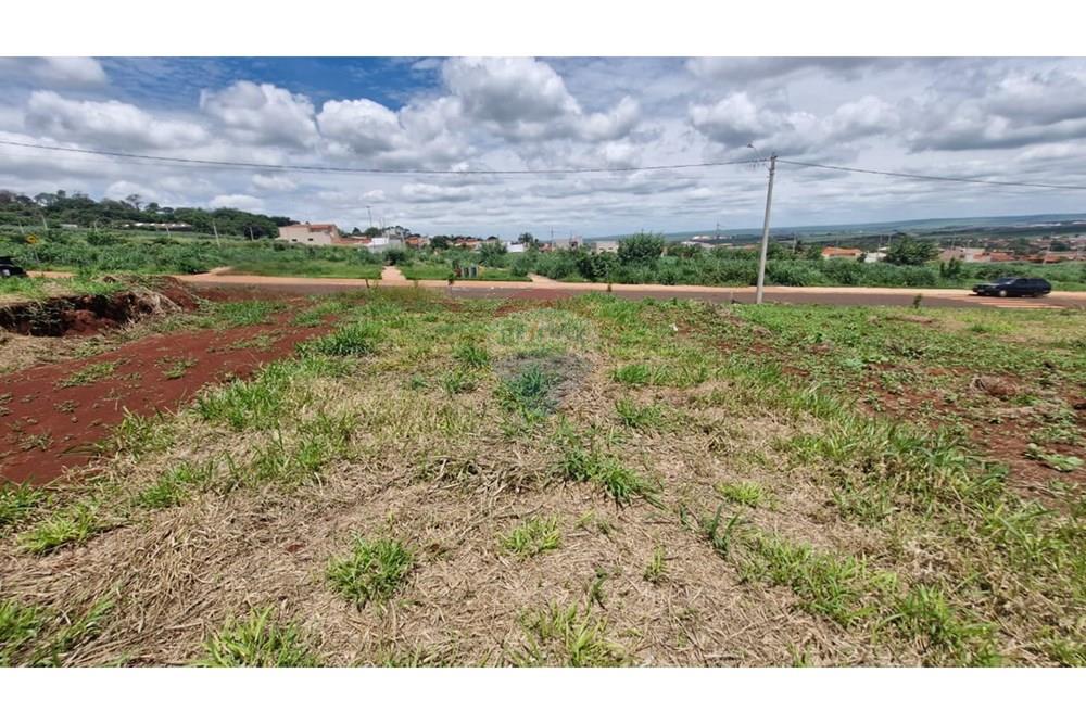 Terreno - Venda - Dumont , São Paulo - WhatsApp Image 2026-02-27 at 12.52.29 (1).jpeg - 780181011-292