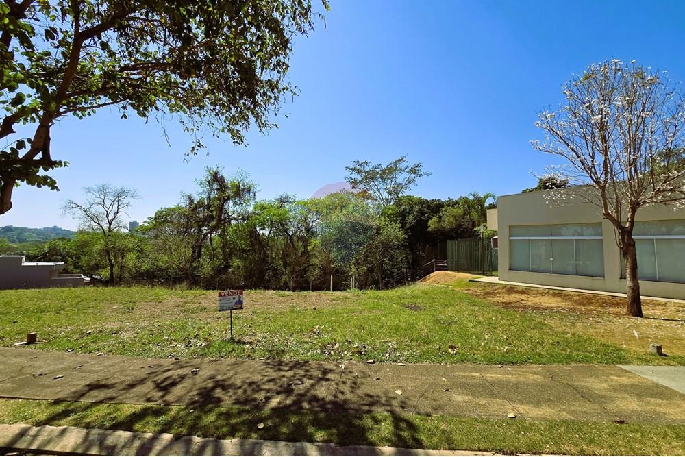 Terreno - Venda - Ribeirão Preto , São Paulo - 20250930_094444.jpg - 780251037-64