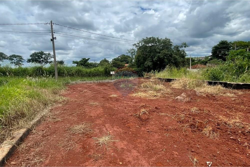 Terreno - Venda - São Joaquim da Barra , São Paulo - WhatsApp Image 2026-01-23 at 15.58.38.jpeg - 780301001-33