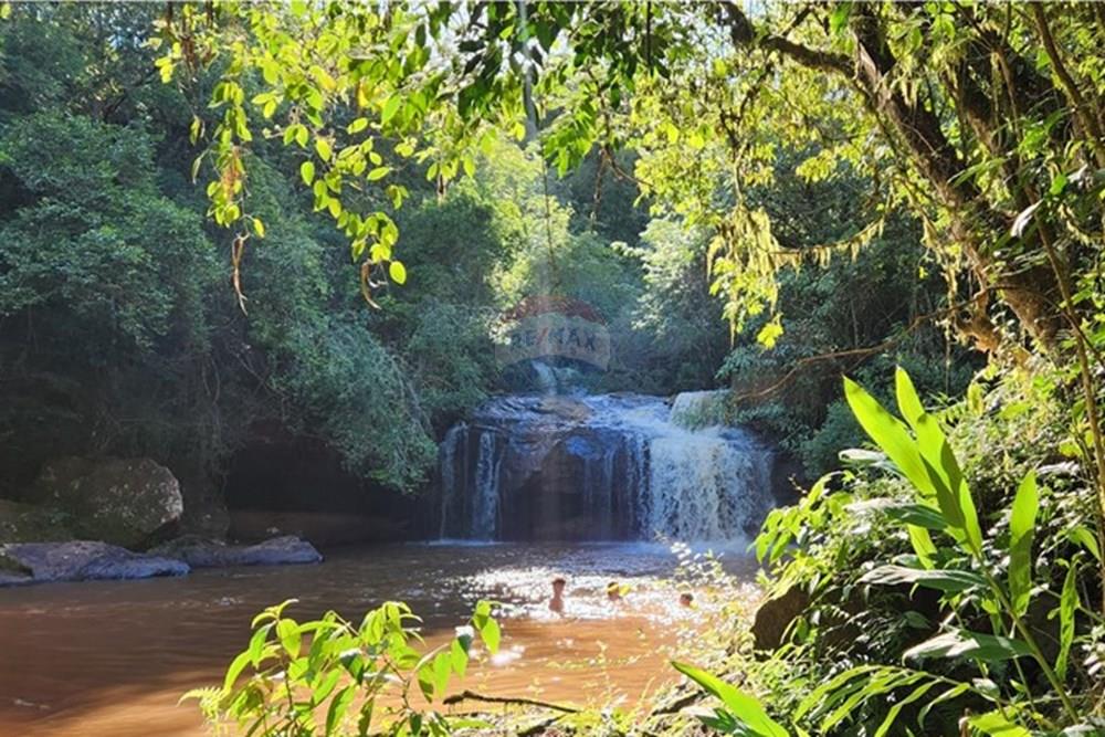 Chácara / Sítio / Fazenda - Venda - São Sebastião do Paraíso , Minas Gerais - 32.jpg - 780251022-11
