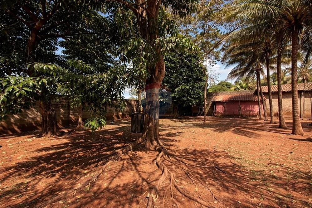 Chácara / Sítio / Fazenda - Venda - Sertãozinho , São Paulo - WhatsApp Image 2026-03-17 at 01.09.06 (4).jpeg - 780191016-54