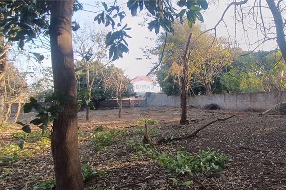 Chácara / Sítio / Fazenda - Venda - Franca , São Paulo - Imagem do WhatsApp de 2025-09-22 à(s) 10.23.56_47019dc1.jpg - 780231075-4