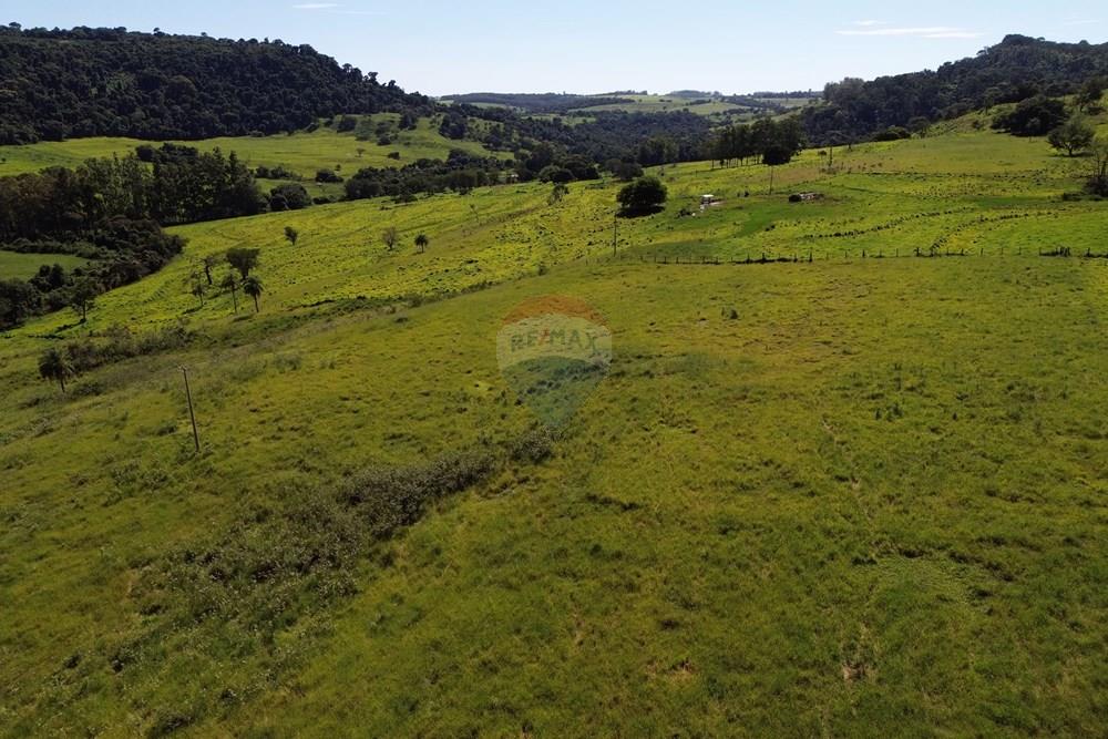 Fazenda - Venda - Cajuru , São Paulo - DJI_0017.JPG - 780171030-74