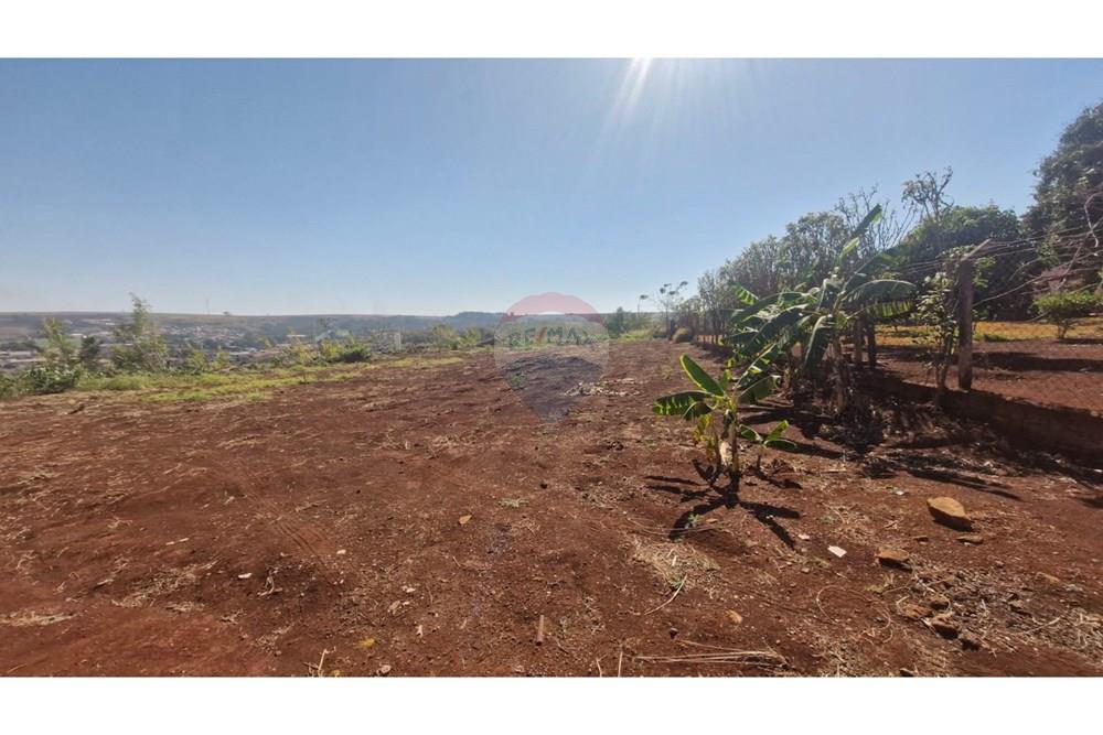 Chácara / Sítio / Fazenda - Venda - Dumont , São Paulo - WhatsApp Image 2025-09-03 at 09.53.18 (1).jpeg - 780181011-281