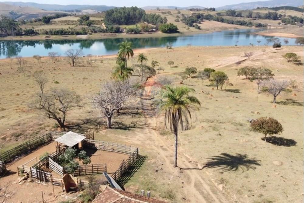 Agro - Venda - Guapé , Minas Gerais - Fazenda Guape 8.jpg - 780071051-6