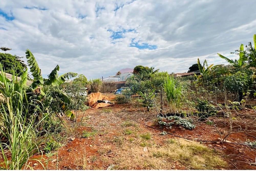 Terreno - Alugar - Ribeirão Preto , São Paulo - WhatsApp Image 2025-07-15 at 15.56.43 (4).jpeg - 780171052-14