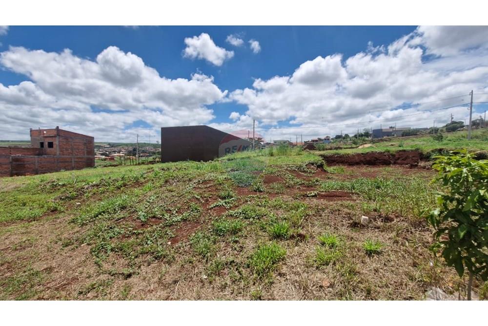 Terreno - Venda - Dumont , São Paulo - WhatsApp Image 2026-02-27 at 12.52.29 (8).jpeg - 780181011-292