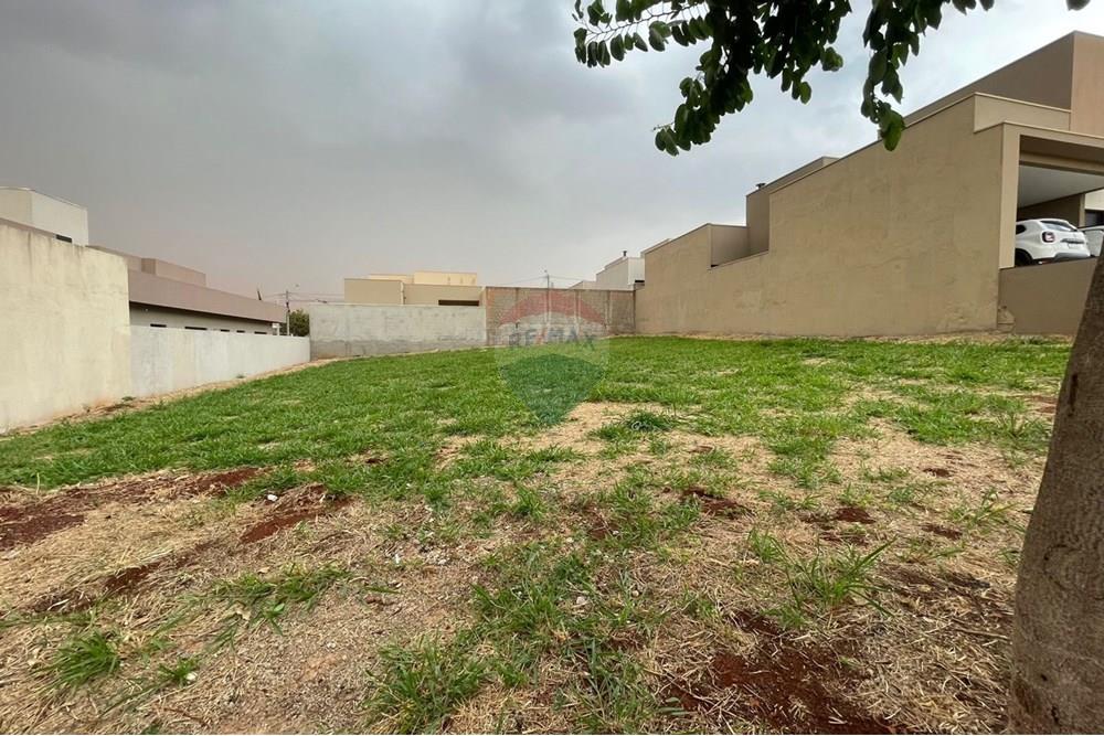 Terreno - Venda - Ribeirão Preto , São Paulo - WhatsApp Image 2025-10-27 at 12.05.33 (2).jpeg - 780171048-102