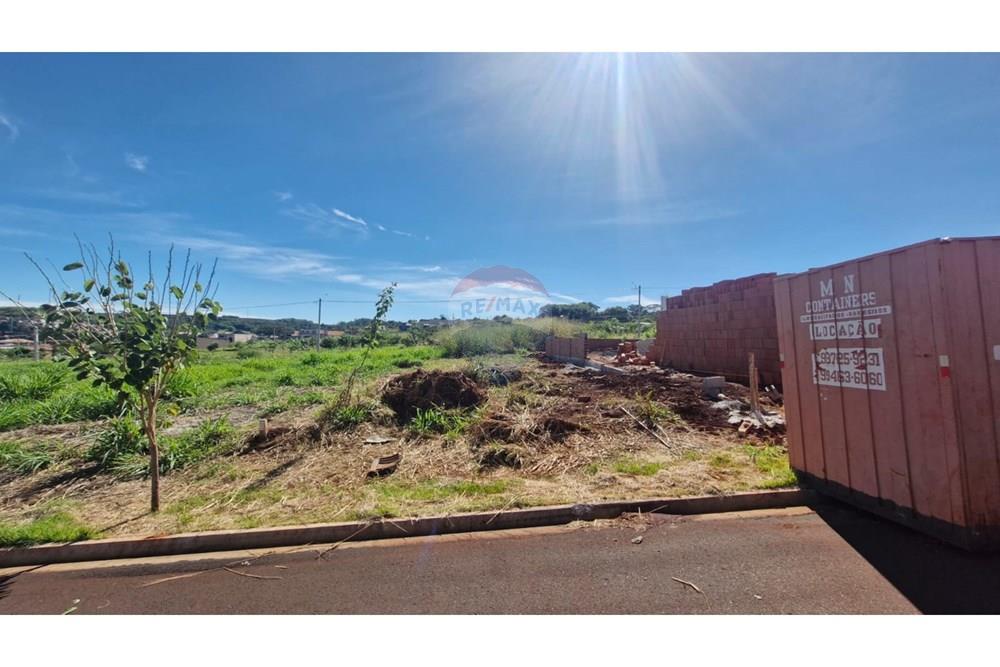 Terreno - Venda - Dumont , São Paulo - WhatsApp Image 2026-04-06 at 11.15.35 (7).jpeg - 780181011-299