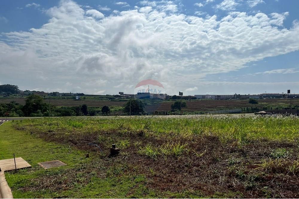 Terreno - Venda - Cravinhos , São Paulo - IMG-20240410-WA0089.jpg - 780241012-47