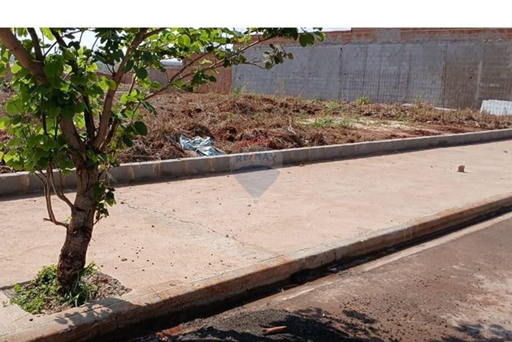 Terreno - Venda - Ribeirão Preto , São Paulo - 13.jpeg - 780171003-242