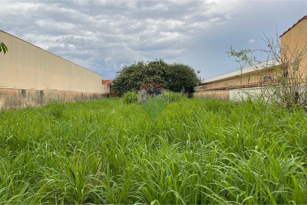 Terreno - Venda - Ribeirão Preto , São Paulo - WhatsApp Image 2026-02-12 at 17.29.22 (8).jpeg - 780171067-77