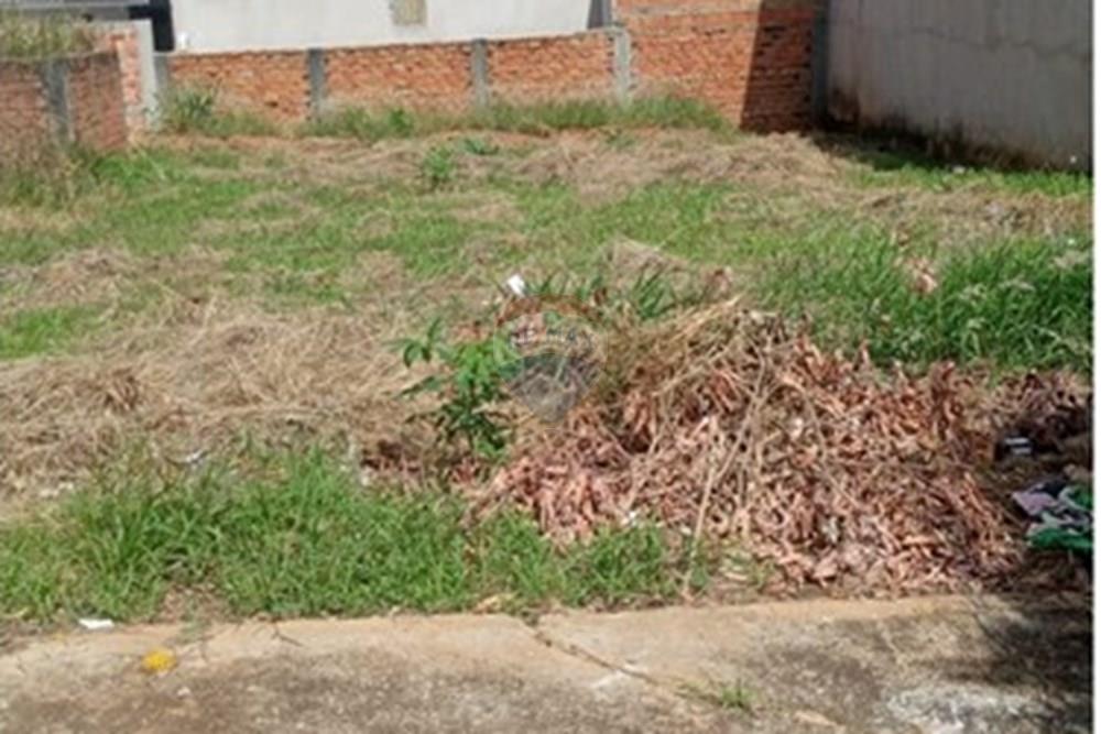 Terreno - Venda - Monte Alto , São Paulo - WhatsApp Image 2026-02-23 at 09.16.14.jpeg - 780271058-14