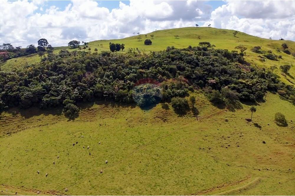 Chácara / Sítio / Fazenda - Venda - Cajuru , São Paulo - IMG_9381.jpg - 780241009-47