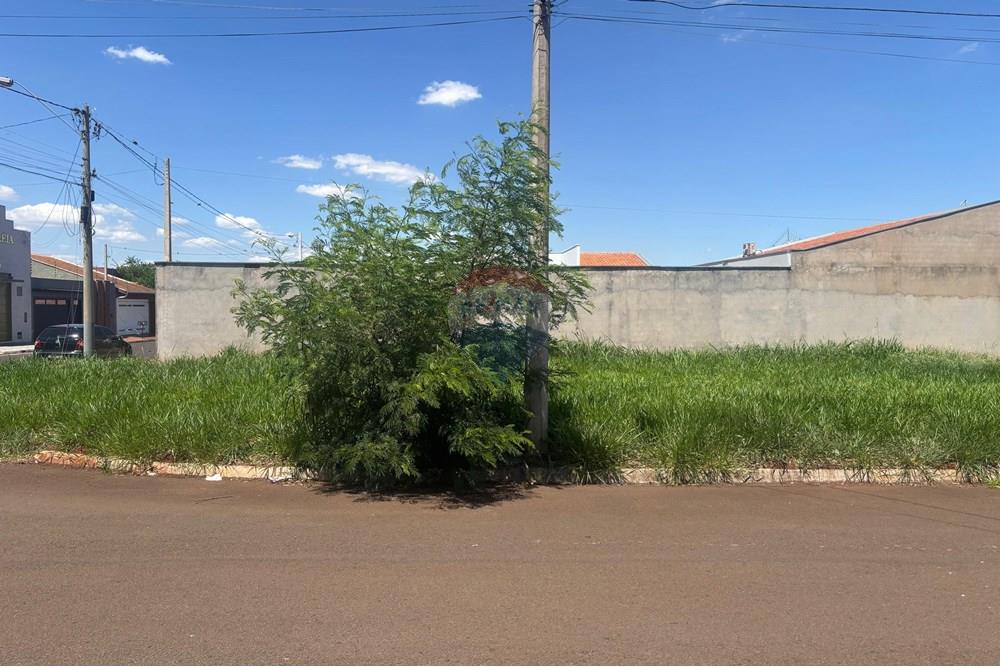 Terreno - Venda - Sertãozinho , São Paulo - WhatsApp Image 2025-11-10 at 15.27.20 (1).jpeg - 780191005-138