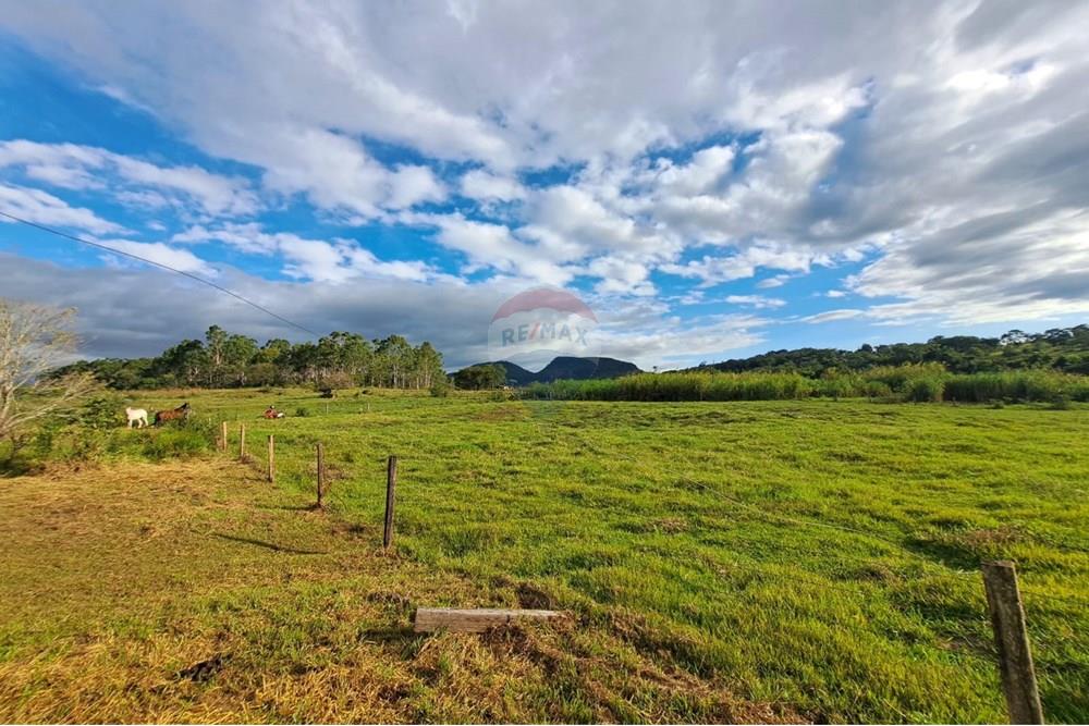 Fazenda - Venda - Cajuru , São Paulo - IMG-20250406-WA0117.jpg - 780171030-57