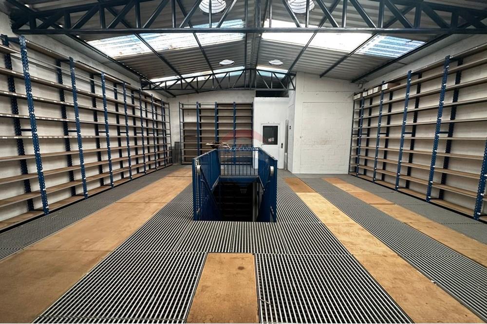 Ponto Comercial/ Loja - Alugar - Ribeirão Preto , São Paulo - WhatsApp Image 2025-07-18 at 10.22.29 (2).jpeg - 780131001-117