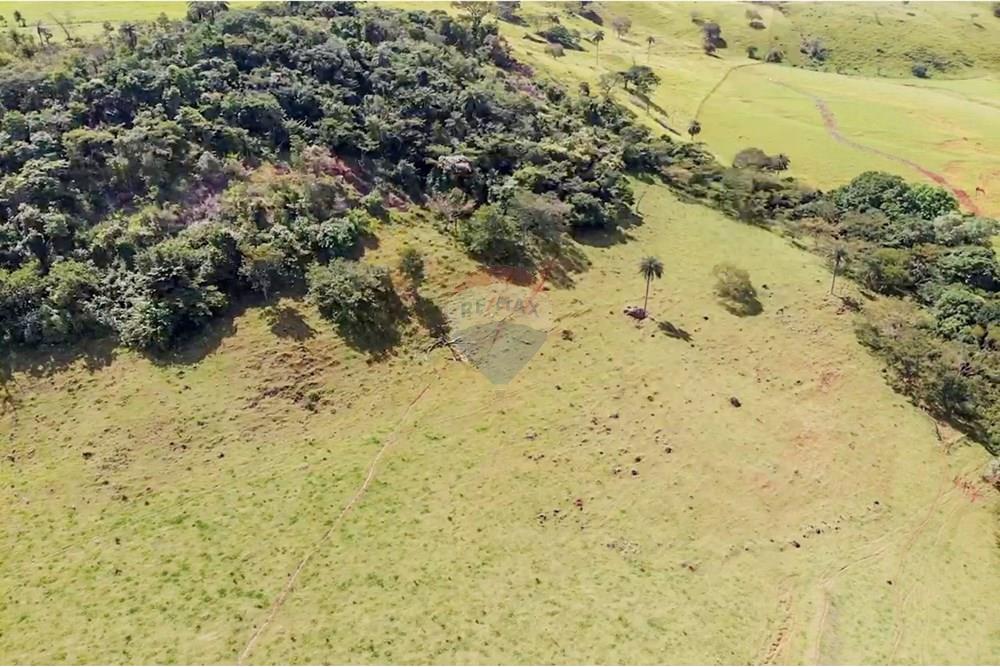 Chácara / Sítio / Fazenda - Venda - Cajuru , São Paulo - IMG_9364.jpg - 780241009-47