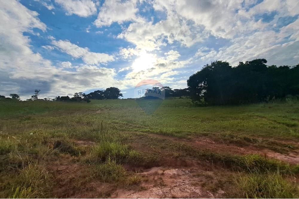 Chácara / Sítio / Fazenda - Venda - Cajuru , São Paulo - IMG-20250406-WA0149.jpg - 780171030-59