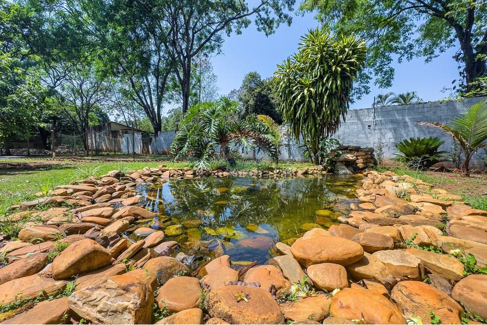 Chácara / Sítio / Fazenda - Venda - Ribeirão Preto , São Paulo - Chácara - G04-46.jpg - 780071024-84