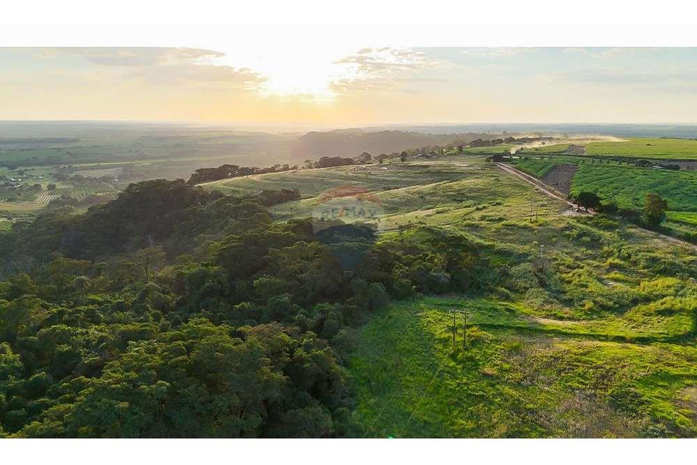 Chácara / Sítio / Fazenda - Venda - Monte Alto , São Paulo - foto 15.jpg - 780271059-44